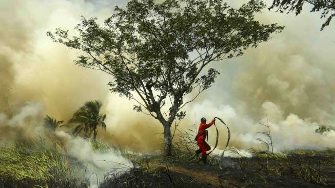 Ribuan Warga Riau Sakit Akibat Terpapar Asap Kebakaran Hutan