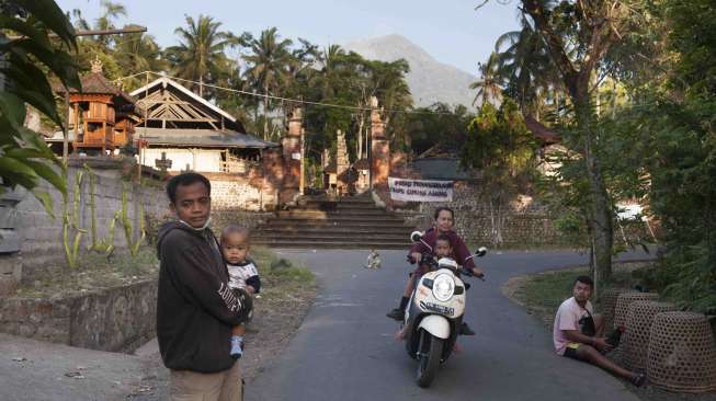 Sudah Siaga, Pengungsi Gunung Agung Masih Urus Ternak