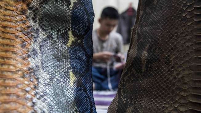 Kerajinan Kulit Ular dan Biawak