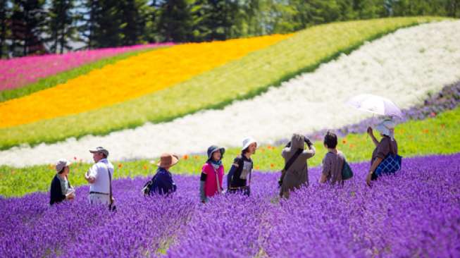 Hokkaido, Destinasi dengan Sejuta Daya Tarik