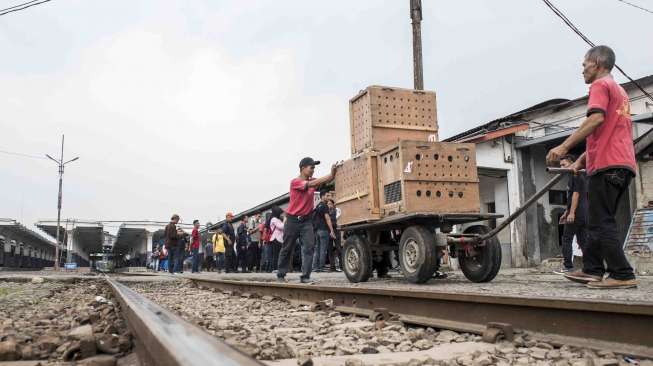 Lutung Jawa sebelum dipindahkan di stasiun kereta, Bandung, Jawa Barat, Selasa (10/10).
