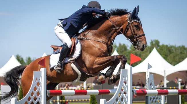 Gelar Dressage dan Show Jumping, KHI Equestrian Cetak Sejarah di Yogyakarta