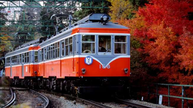 Di Kota Hakone, wisatawan dapat menikmati gunung yang berwarna merah dan kuning dari jendela kereta Hakone Tozan Railway.