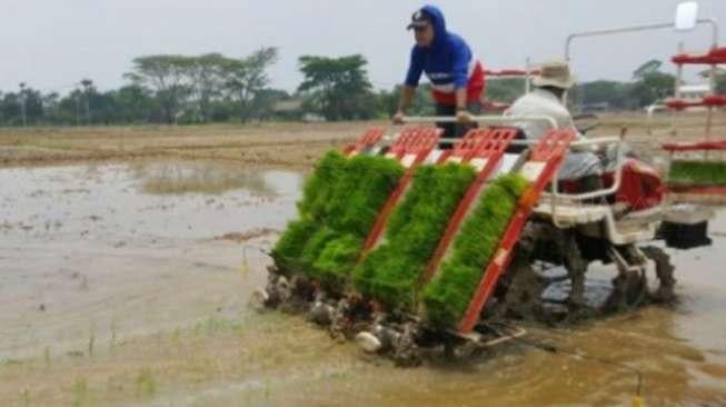 Kementan Prihatin Penggunaan Pestisida Ilegal Ditemukan di Brebes