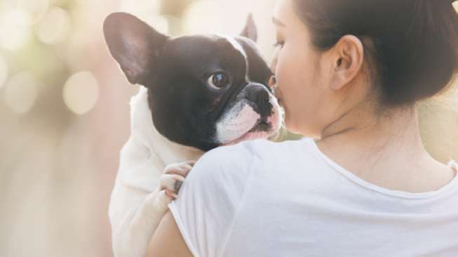 Ilustrasi tes kepribadian: anjing peliharaan bisa ungkap sifat pemiliknya. (Shutterstock)