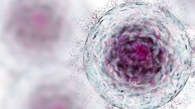 Kembangkan Stem Cell Halal, Pusat Stem Cell Unair Raih Penghargaan dari Kemenperin
