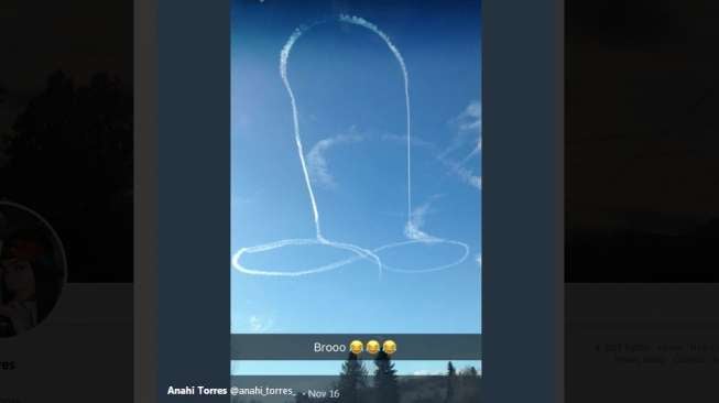 Pilot Pembuat 'Penis' di Langit Dapat Hukuman Teguran