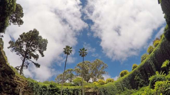 Taman Indah dalam Lubang Runtuhan Ini Ada di Australia