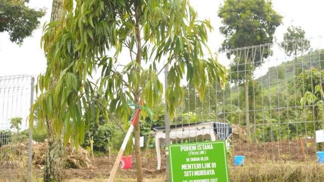 Hutan dan Lahan DAS Cimanuk Garut Direhabilitasi