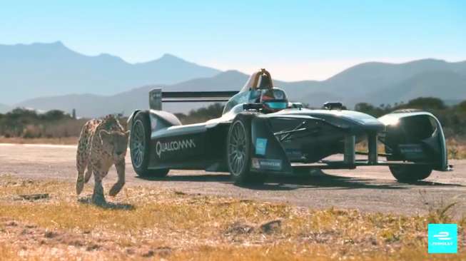 Mobil Listrik Formula E Balapan dengan Cheetah, Siapa Menang?