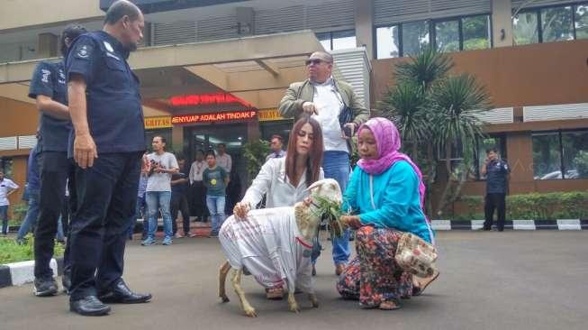 Model Cantik Putri Stagi Walter Bawa Kambing ke Polda, Ada Apa?