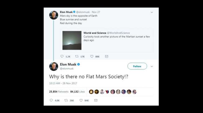 Cuitan Elon Musk. [Twitter]