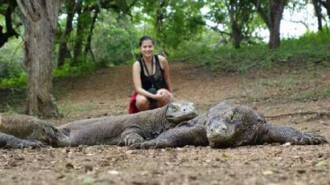 Sedang Mengerjakan Bangunan Toilet, Warga Manggarai Digigit Komodo