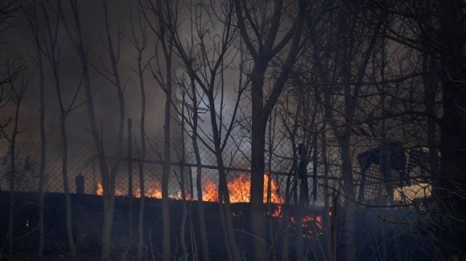 Kebakaran Hutan Ini Bikin Jalan Seperti 'Neraka'