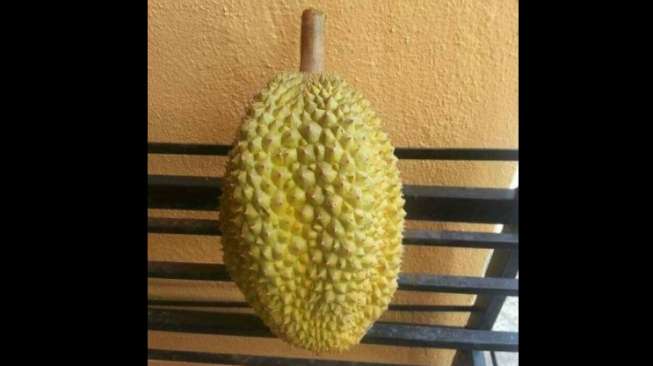 Beli Durian Rp15 Ribu, Isinya Malah Bikin Jengkel