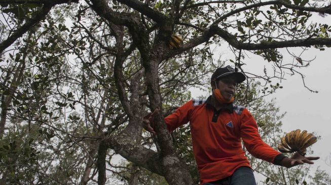 Polisi dan relawan Pasebaya Gunung Agung melakukan pemantauan kawasan terdampak bencana Gunung Agung di Desa Sibetan, Karangasem, Bali, Sabtu (6/1). 