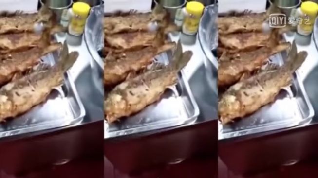 Potongan video di mana ikan goreng bergerak sendiri saat siap disantap. [Akun Youtube Tea Partier/screenshot]