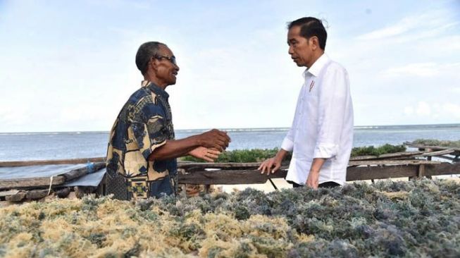 Presiden Joko Widodo dan Ibu Negara Iriana sempat menyinggahi Pantai Nemberala, saat melakukan kunjungan kerja ke Kabupaten Rote Ndao, Nusa Tenggara Timur, Selasa (9/1/2018). [Biro Setpres]