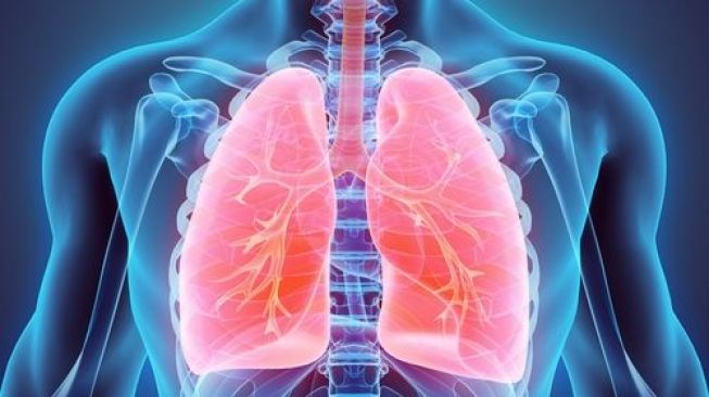 Jaringan dalam paru-paru yang berfungsi sebagai tempat pertukaran gas oksigen dan gas karbon dioksida adalah