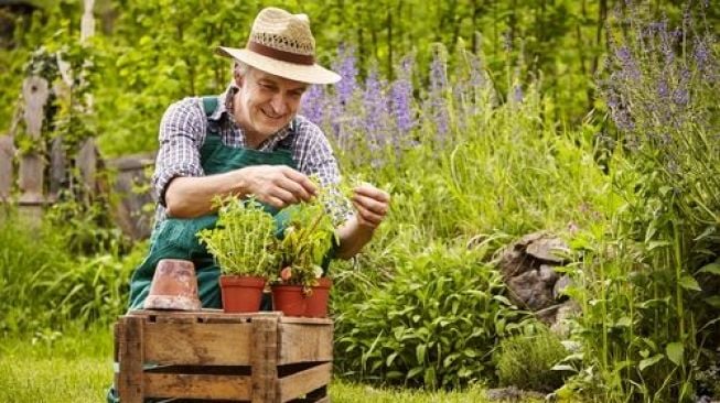 Manfaat Berkebun, Bantu Kurangi Stres hingga Bikin Panjang Umur