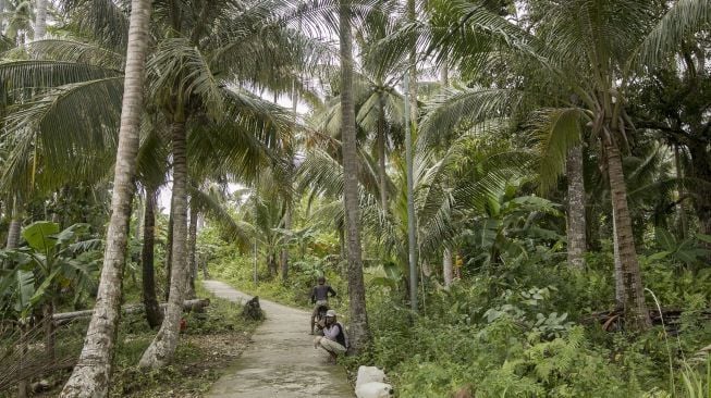 Pesona keindahan di Pulau Maratua yang terletak di wilayah Kabupaten Berau, Kalimantan Timur, Jumat (12/1).