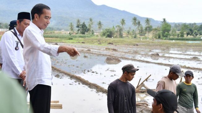 Presiden Joko Widodo meninjau pelaksanaan Program Padat Karya Tunai di Kecamatan Penengahan, Lampung Selatan, Provinsi Lampung, Minggu (21/1/2018).[Foto: Setpres]