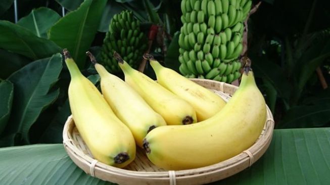 Inilah Mongee, pisang jenis baru yang bisa dimakan kulitnya. (Foto: Dok. D&T Farm)