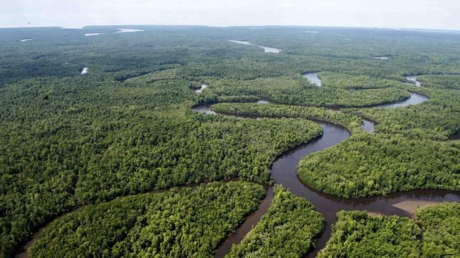 Foto udara sungai berkelok membelah hutan di Kabupaten Mimika, Papua, Senin (29/1). 