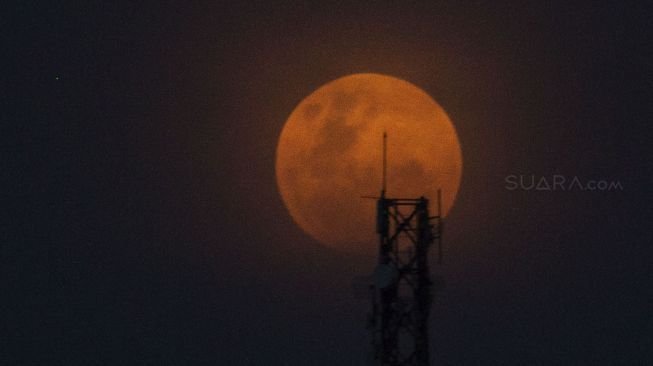 Detik-detik terjadinya fenomena Super Blue Blood Moon yang terlihat di langit Jakarta, Rabu (31/1) malam. [Suara.com/Kurniawan Mas'ud]