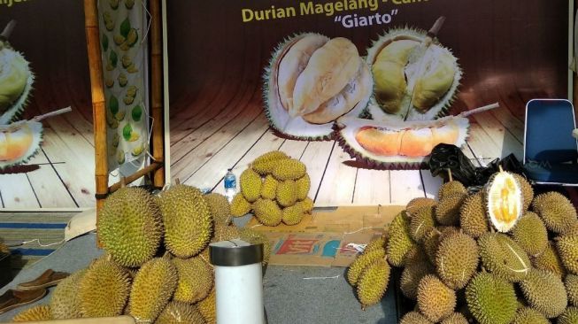 Unduh 8100 Koleksi Gambar Durian Kumbokarno Terbaru 