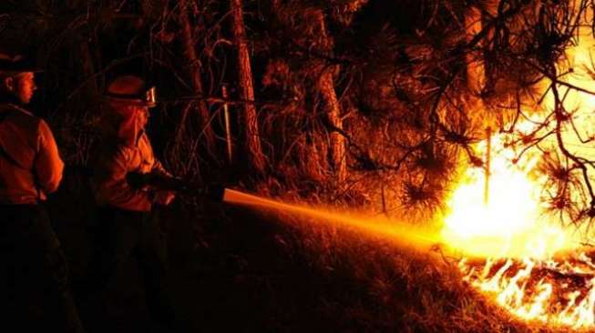 Gubernur Akui Pemadam Sulit Jangkau Kebakaran Hutan di Sumbar