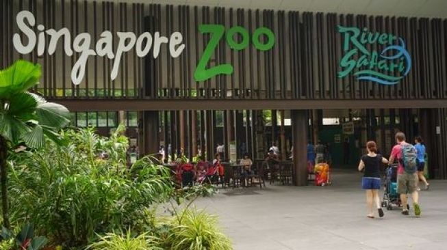 Kebun Binatang Singapura atau Singapore Zoo. (Shutterstock)