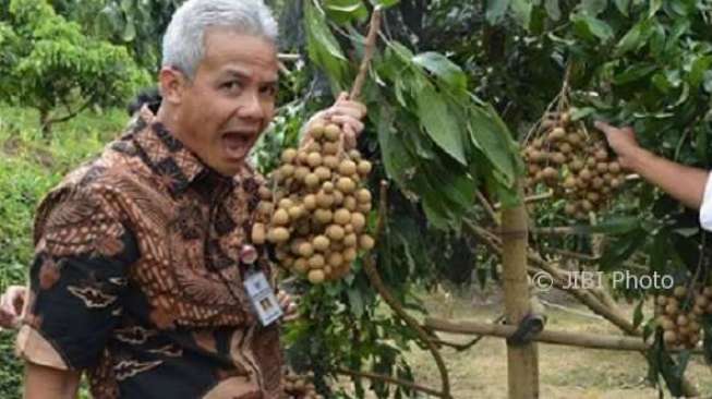 Ganjar Pranowo Canangkan Uji Coba Aplikasi Eragano