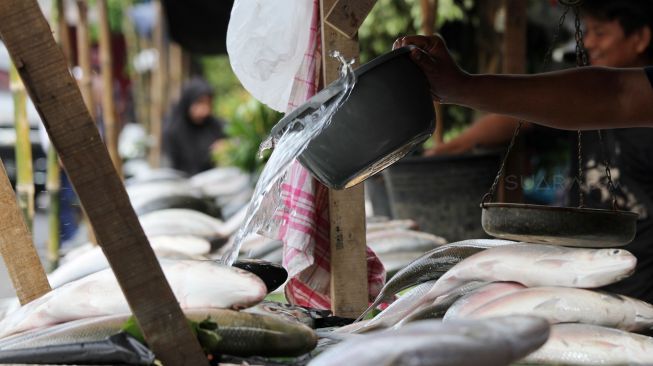 Penjualan Ikan Bandeng Meningkat 3249