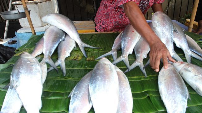 6 Manfaat Ikan Bandeng Untuk MPASI