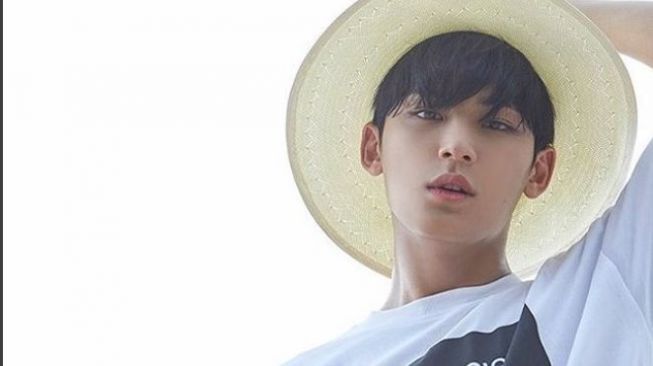 Hore, Mingyu Seventeen Punya Akun Instagram