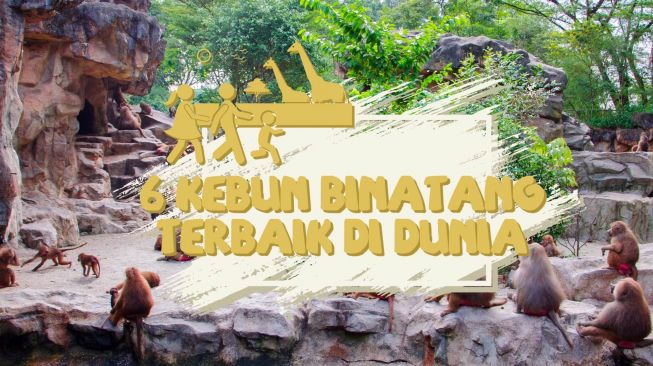 6 Kebun Binatang Terbaik di Dunia