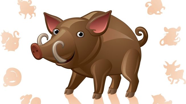 Peruntungan Shio Hari Ini, Kamis 25 November 2021: Shio Babi Sedang Antusias Nih!