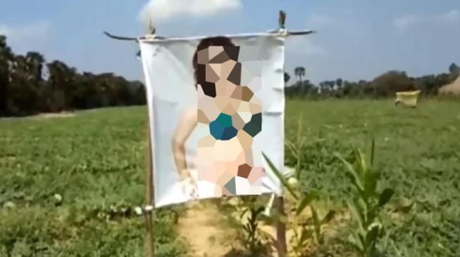 Poster bintang film porno Sunny Leone yang dipasang A Chenchu Reddy, petani di Distrik Nellore, Negara Bagian Andhra Pradesh, India. Ia mengakui, setelah memasang foto itu, bisa mendapat panen bagus. [The Sun]