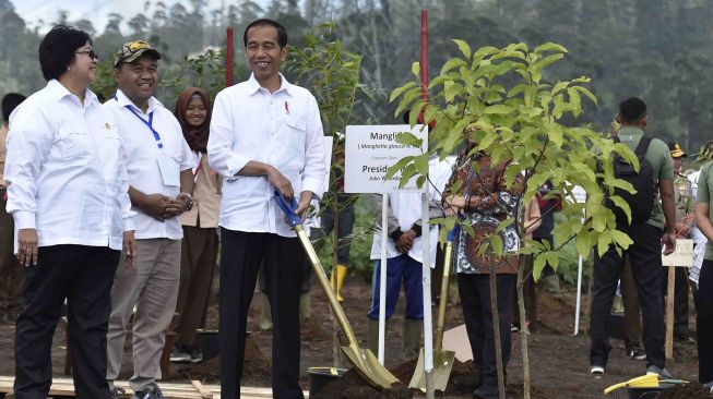 Jokowi Perkirakan Revitalisasi DAS Citarum Selesai 7 Tahun