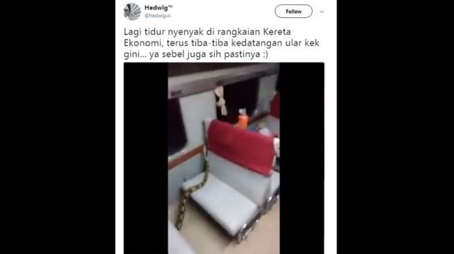 Heboh! Ular di Gerbong, Penumpang KA Kertajaya Berhamburan