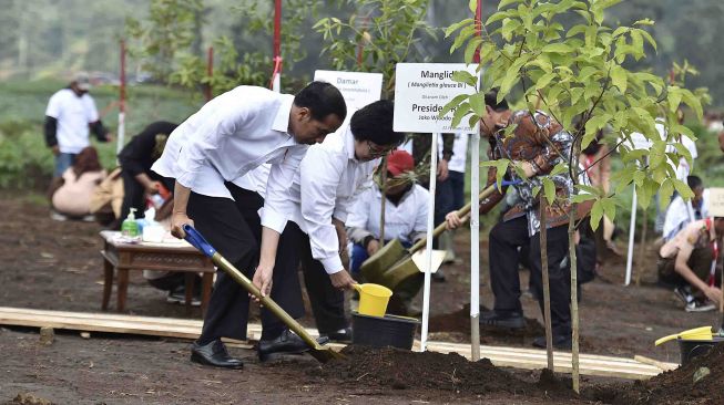 Presiden Joko Widodo didampingi Menteri Lingkungan Hidup dan Kehutanan Siti Nurbaya dan Dirut PTPN VIII Bagya Mulyanto menanam pohon Manglid di kawasan Hulu Sungai Citarum, Kertasari, Kabupaten Bandung, Jawa Barat, Kamis (22/2). 