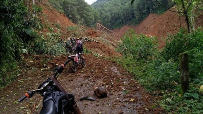 Anjing Pelacak Cari Korban Longsor yang Hilang di Brebes