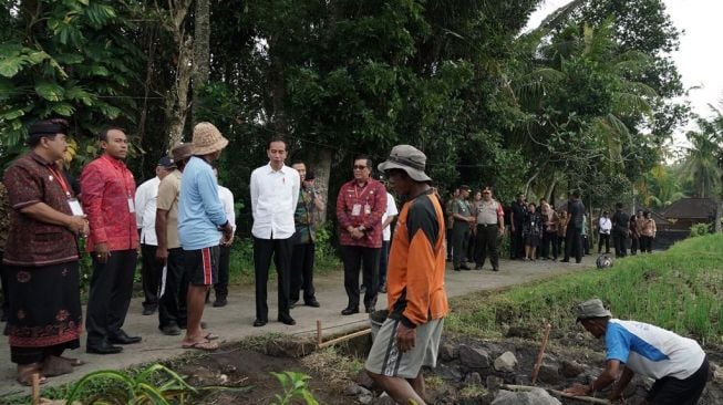 Presiden Joko Widodo meninjau pelaksanaan padat karya tunai irigasi kecil dan jalan produksi di Desa Kukuh, Kecamatan Marga, Kabupaten Tabanan, Jumat (23/2/2018). (Biro pers Kepresidenan)