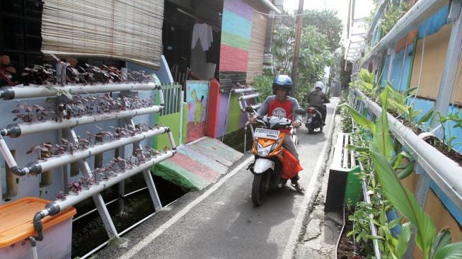 Kampung Hidroponik di Pengadegan, Jakarta, Selasa (27/2).