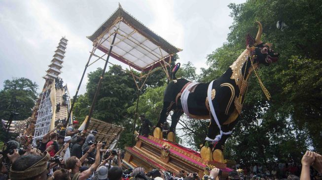 Wisatawan dan warga menyaksikan arak-arakan peti jenazah berbentuk sapi dan keranda bertingkat sembilan atau Bade yang berisi jenazah keluarga Puri (kerajaan) Ubud, Anak Agung Niang Agung dalam upacara Ngaben akbar di Desa Peliatan, Ubud, Jumat (2/3). 