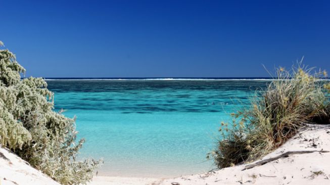 Ningaloo Reef di Australia Barat termasuk dalam Warisan Dunia dengan terumbu karang pesisir terbesar di dunia. (Shutterstock)