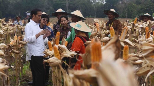 Presiden Joko Widodo (kiri) bersama Menteri BUMN Rini Soemarno (keempat kiri) dan Menteri Lingkungan Hidup dan Kehutanan Siti Nurbaya Bakar (kedua kiri) berdialog dengan petani saat panen raya jagung di Perhutanan Sosial, Ngimbang, Tuban, Jawa Timur, Jumat (9/3).