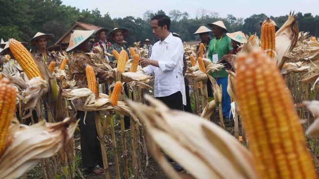 Merupakan hasil budi daya pertanian oleh petani penggarap hutan.