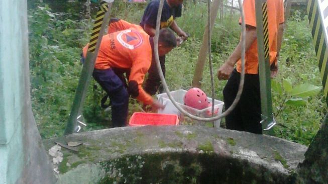 Tak Melulu Bencana, BNPB Juga Tolong Kucing Terjebur ke Sumur